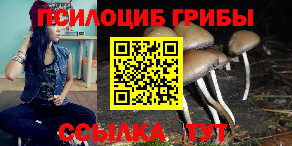 Псилоцибиновые грибы Cubensis  Геленджик 