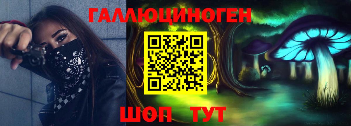 Галлюциногенные грибы Cubensis Геленджик